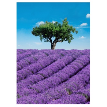 Fototapet , Categoria Deluxe , Gama Wall Murals , 4 piese , dimensiuni 183x254 cm , 00309 Fototapet , Categoria Deluxe , Gama Wall Murals , 4 piese , dimensiuni 183x254 cm , 00309