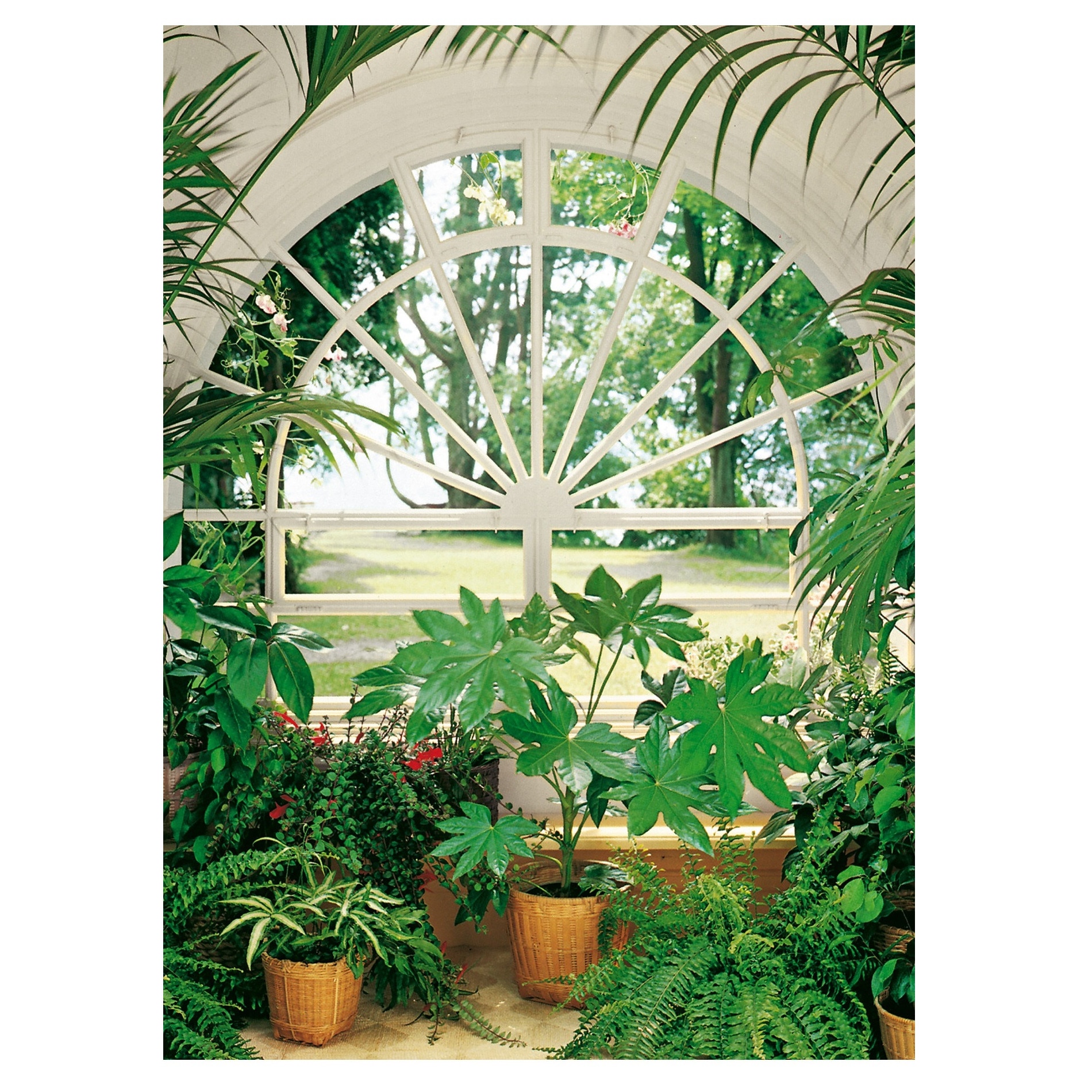 Fototapet , Categoria Deluxe , Gama Wall Murals , 4 piese , dimensiuni 183x254 cm , 00322