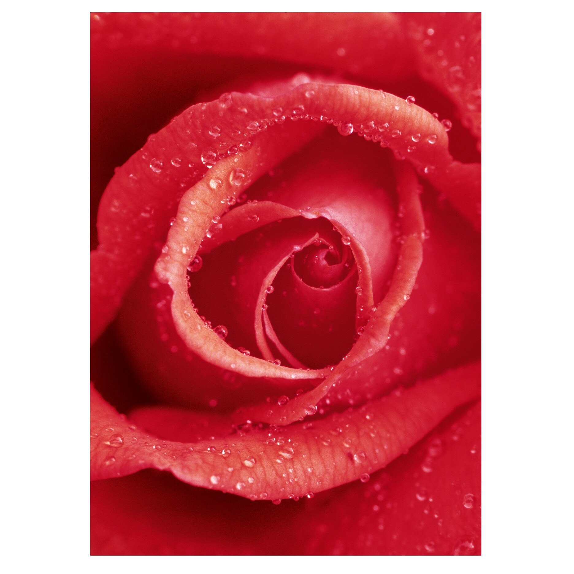 Fototapet , Categoria Deluxe , Gama Wall Murals , 4 piese , dimensiuni 183x254 cm , 00368