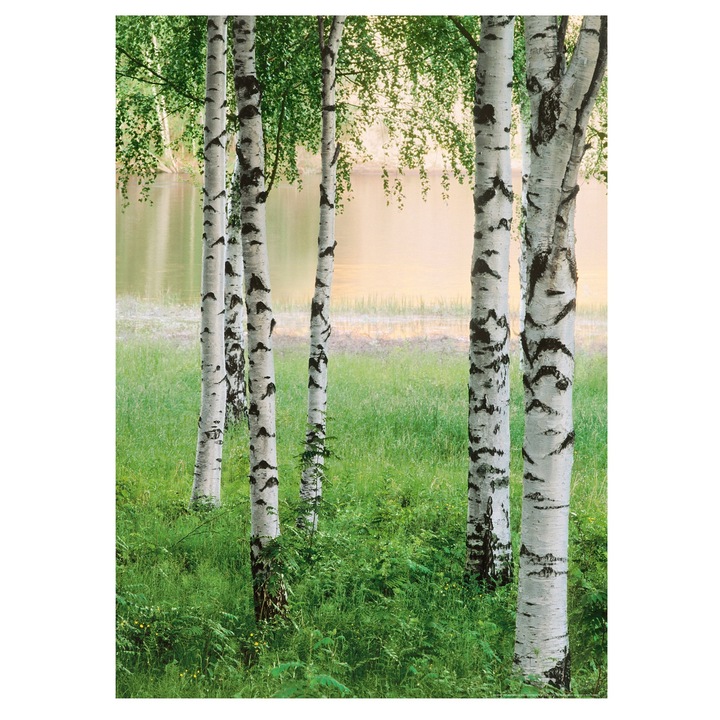 Fototapet , Categoria Deluxe , Gama Wall Murals , 4 piese , dimensiuni 183x254 cm , 00381