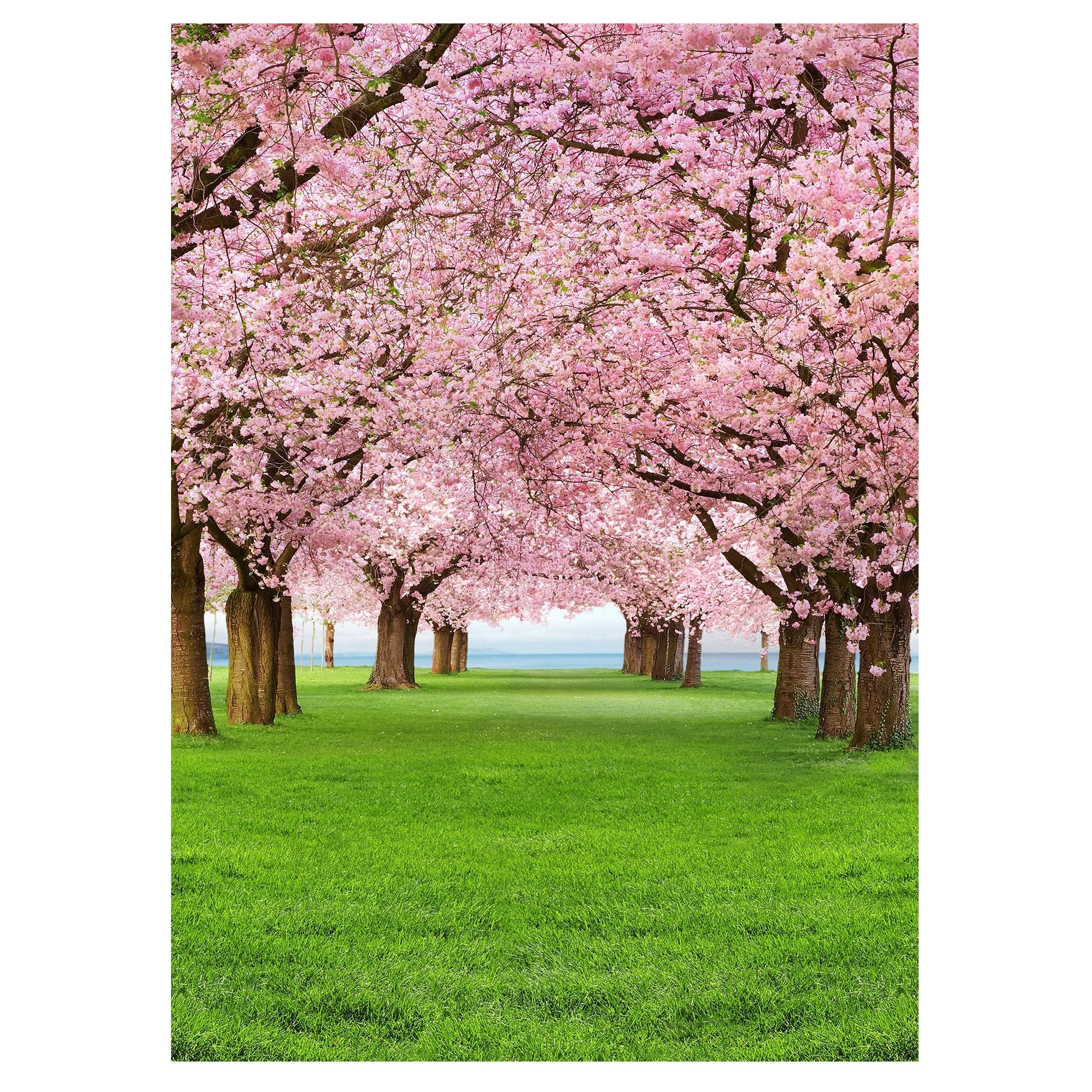 Fototapet , Categoria Deluxe , Gama Wall Murals , 4 piese , dimensiuni 183x254 cm , 00385