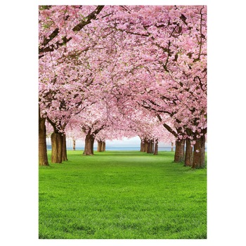 Fototapet , Categoria Deluxe , Gama Wall Murals , 4 piese , dimensiuni 183x254 cm , 00385 Fototapet , Categoria Deluxe , Gama Wall Murals , 4 piese , dimensiuni 183x254 cm , 00385