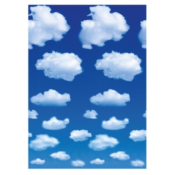 Fototapet , Categoria Deluxe , Gama Wall Murals , 4 piese , dimensiuni 183x254 cm , 00402 Fototapet , Categoria Deluxe , Gama Wall Murals , 4 piese , dimensiuni 183x254 cm , 00402