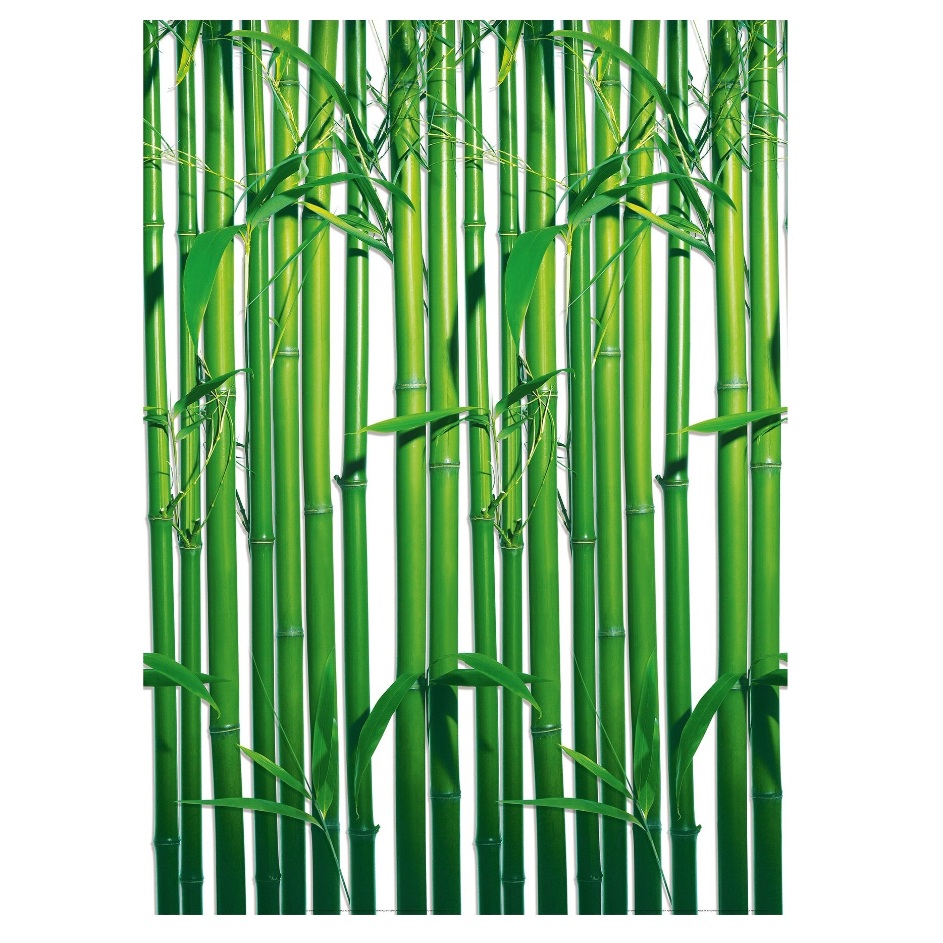 Fototapet , Categoria Deluxe , Gama Wall Murals , 4 piese , dimensiuni 183x254 cm , 00421