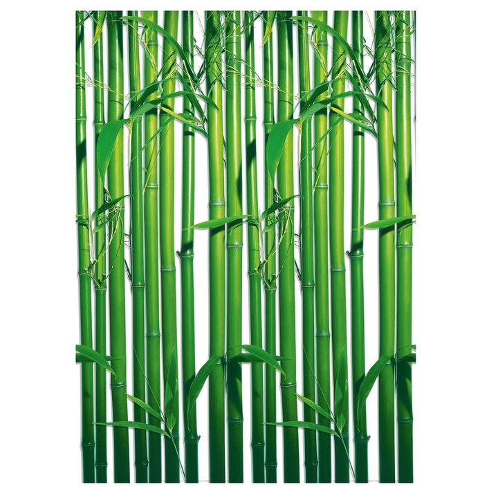 Fototapet , Categoria Deluxe , Gama Wall Murals , 4 piese , dimensiuni 183x254 cm , 00421