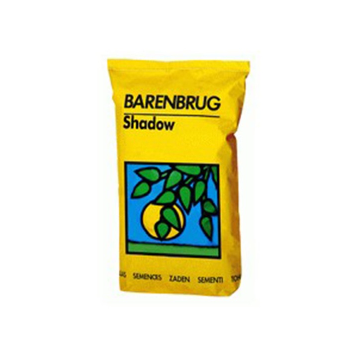 Seminte de Gazon Premium, Barenbrug Shadow, Pentru Zone Umbrite, 15kg, 750mp