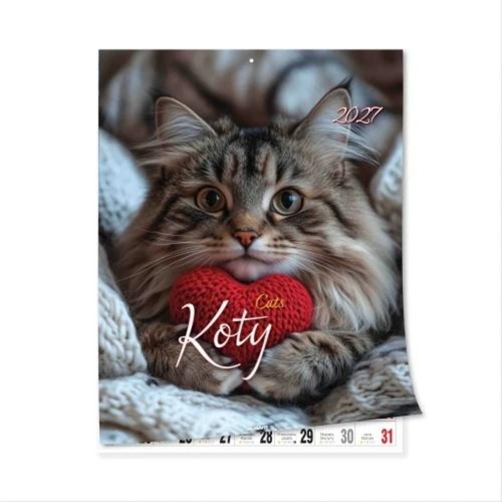 Calendar de perete AVANTI Koty 2027, 23 x 30,5 cm, multicolor, cod 799087