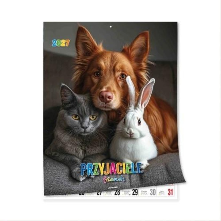 Calendar de perete AVANTI 2027 Przyjaciele, multicolor, 23 x 30,5 cm