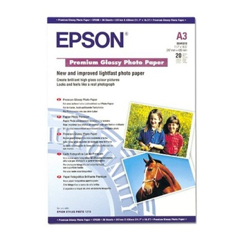 Hartie foto Epson Premium Glossy C13S041315 Hartie foto Epson Premium Glossy C13S041315