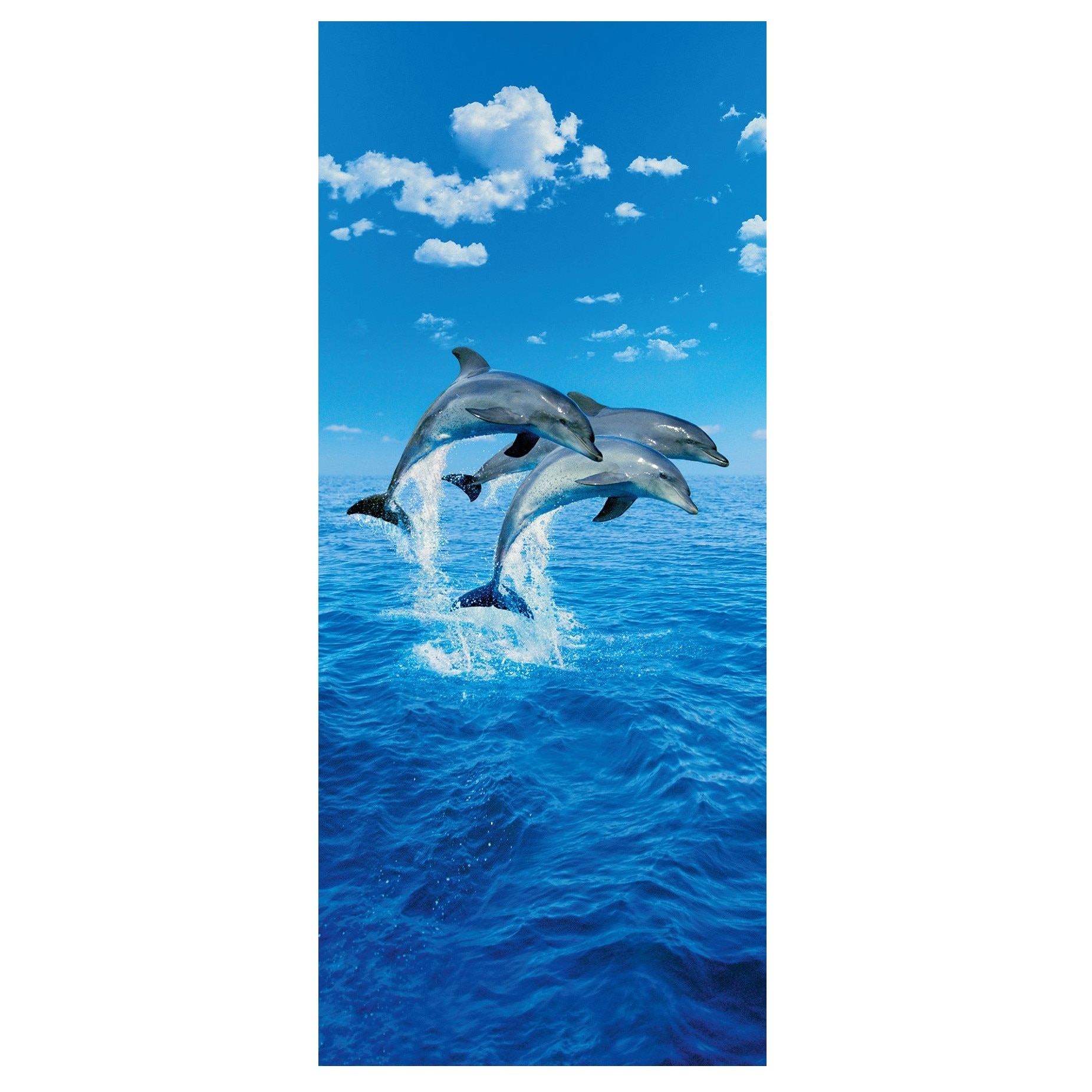 Fototapet , Categoria Deluxe , Gama Door Murals , 4 piese , dimensiuni 86x200 cm , 00599