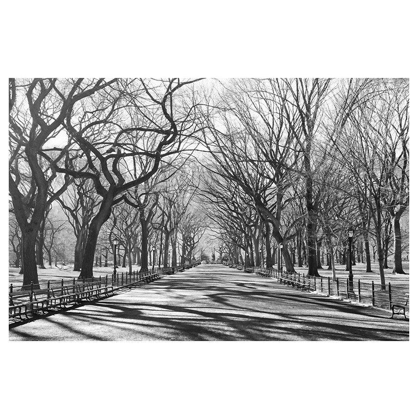 Fototapet , Categoria Deluxe , Gama Giant Art , dimensiuni 175x115 cm , 00607