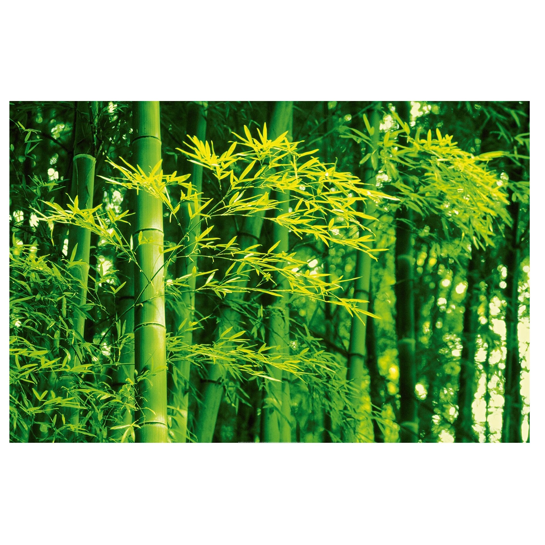 Fototapet , Categoria Deluxe , Gama Giant Art , dimensiuni 175x115 cm , 00670