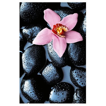 Fototapet , Categoria Deluxe , Gama Giant Art , dimensiuni 175x115 cm , 00666 Fototapet , Categoria Deluxe , Gama Giant Art , dimensiuni 175x115 cm , 00666