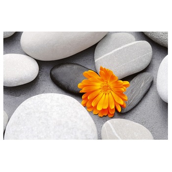 Fototapet , Categoria Deluxe , Gama Giant Art , dimensiuni 175x115 cm , 00678 Fototapet , Categoria Deluxe , Gama Giant Art , dimensiuni 175x115 cm , 00678