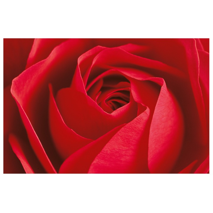 Fototapet , Categoria Deluxe , Gama Giant Art , dimensiuni 175x115 cm , 00680