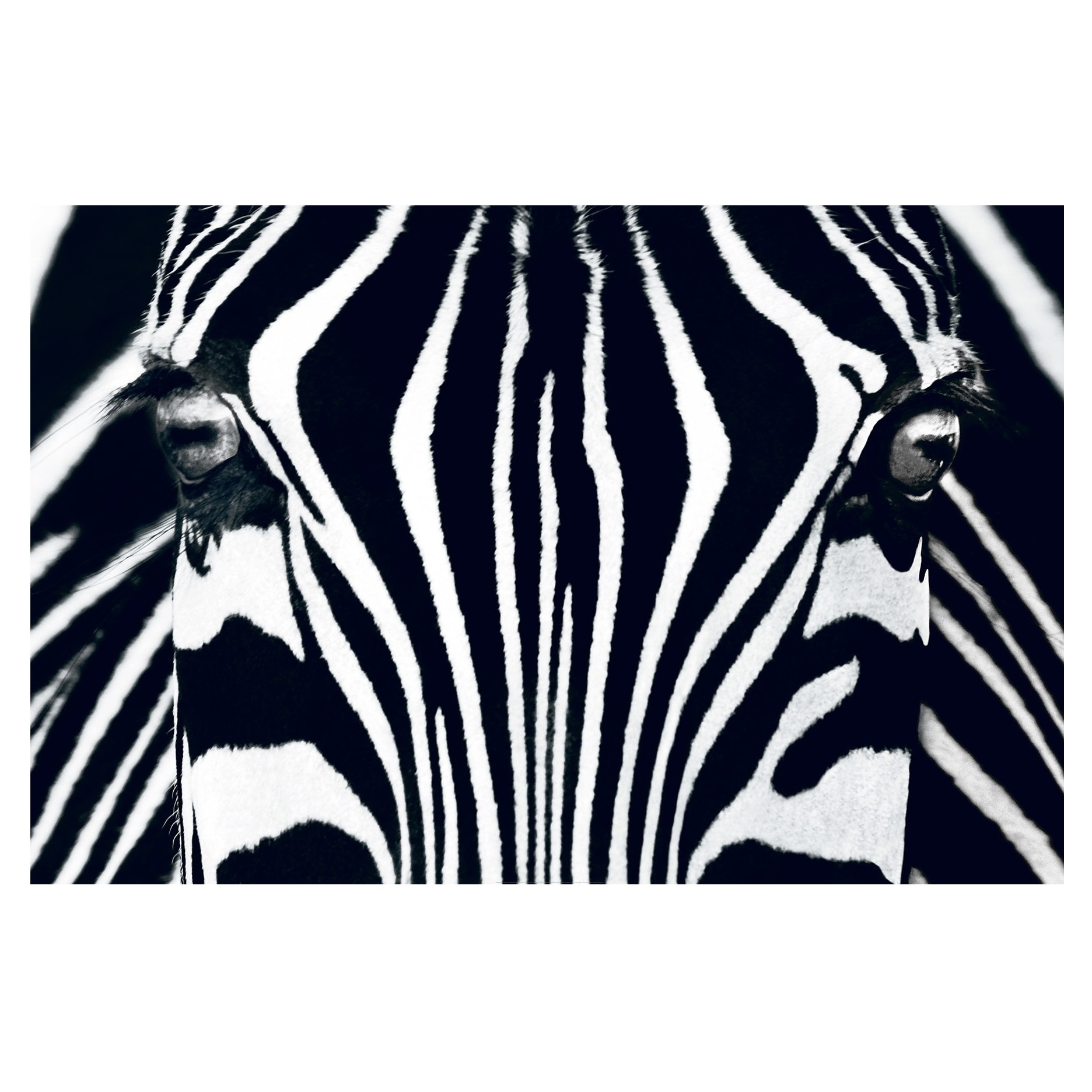 Fototapet , Categoria Deluxe , Gama Giant Art , dimensiuni 175x115 cm , 00684