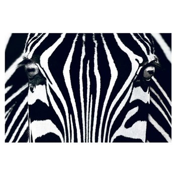 Fototapet , Categoria Deluxe , Gama Giant Art , dimensiuni 175x115 cm , 00684 Fototapet , Categoria Deluxe , Gama Giant Art , dimensiuni 175x115 cm , 00684