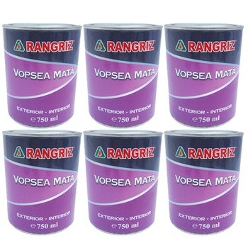 Pachet - 6 x Rangriz vopsea mata cu email pe baza de diluant, Negru, 750ml Pachet - 6 x Rangriz vopsea mata cu email pe baza de diluant, Negru, 750ml