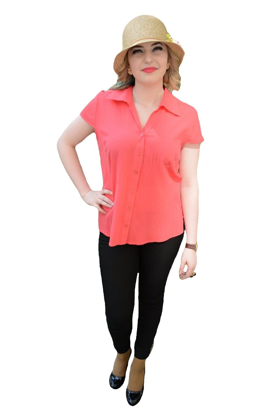 Camasi office, D&J Exclusive, Rosu