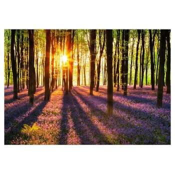 Fototapet , Categoria Deluxe , Gama Wall Murals , 8 piese , non woven , dimensiuni 366x254 cm , 00952 Fototapet , Categoria Deluxe , Gama Wall Murals , 8 piese , non woven , dimensiuni 366x254 cm , 00952