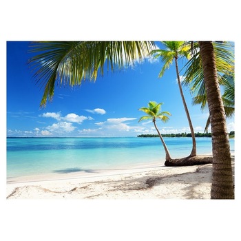 Fototapet , Categoria Deluxe , Gama Wall Murals , 8 piese , non woven , dimensiuni 366x254 cm , 00954 Fototapet , Categoria Deluxe , Gama Wall Murals , 8 piese , non woven , dimensiuni 366x254 cm , 00954