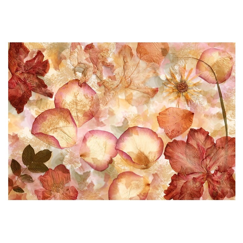 Fototapet , Categoria Deluxe , Gama Wall Murals , 8 piese , non woven , dimensiuni 366x254 cm , 00963