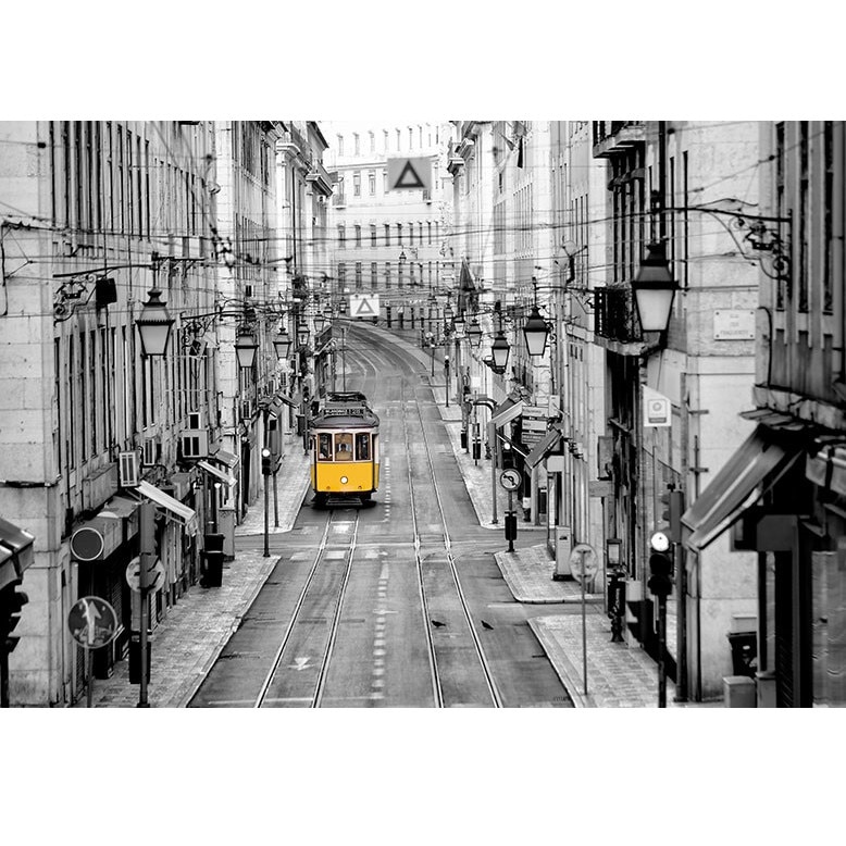 Fototapet , Categoria Deluxe , Gama Wall Murals , 8 piese , non woven , dimensiuni 366x254 cm , 00971