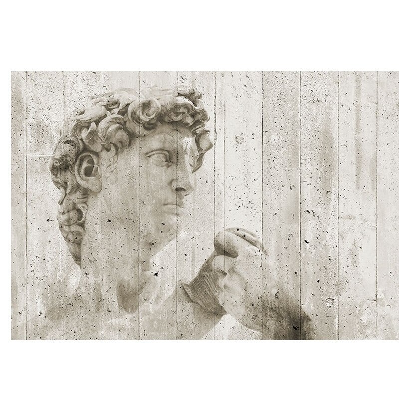 Fototapet , Categoria Deluxe , Gama Wall Murals , 8 piese , non woven , dimensiuni 366x254 cm , 00970