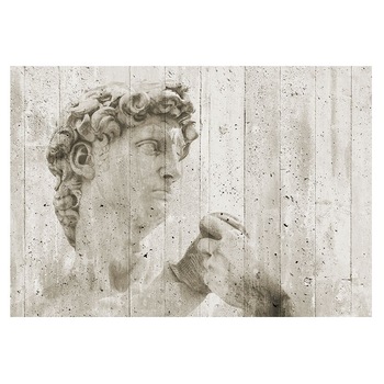 Fototapet , Categoria Deluxe , Gama Wall Murals , 8 piese , non woven , dimensiuni 366x254 cm , 00970 Fototapet , Categoria Deluxe , Gama Wall Murals , 8 piese , non woven , dimensiuni 366x254 cm , 00970