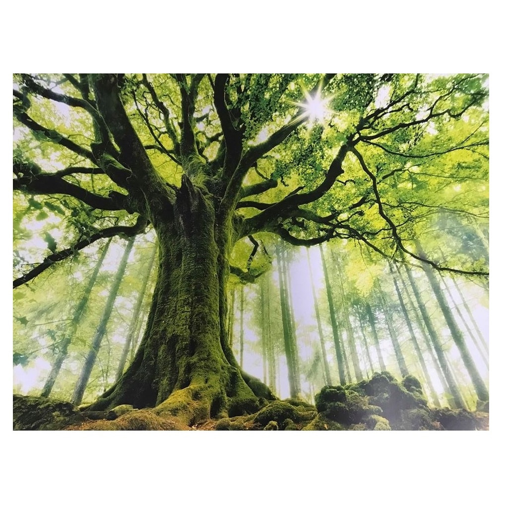 Fototapet , Categoria Deluxe , Gama Wall Murals , 8 piese , non woven , dimensiuni 366x254 cm , 00977