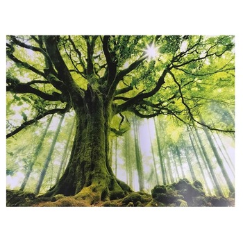 Fototapet , Categoria Deluxe , Gama Wall Murals , 8 piese , non woven , dimensiuni 366x254 cm , 00977 Fototapet , Categoria Deluxe , Gama Wall Murals , 8 piese , non woven , dimensiuni 366x254 cm , 00977