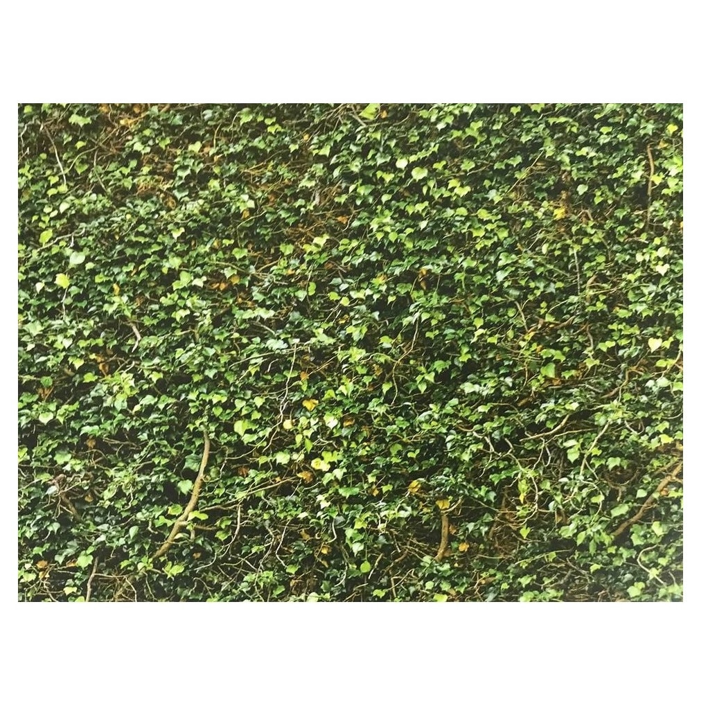 Fototapet , Categoria Deluxe , Gama Wall Murals , 8 piese , non woven , dimensiuni 366x254 cm , 00979