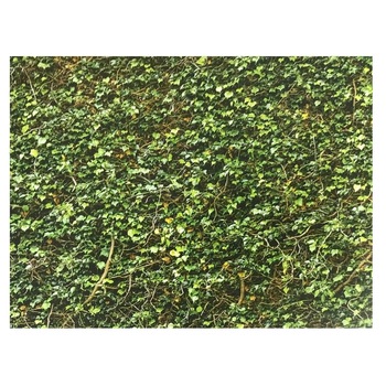 Fototapet , Categoria Deluxe , Gama Wall Murals , 8 piese , non woven , dimensiuni 366x254 cm , 00979 Fototapet , Categoria Deluxe , Gama Wall Murals , 8 piese , non woven , dimensiuni 366x254 cm , 00979