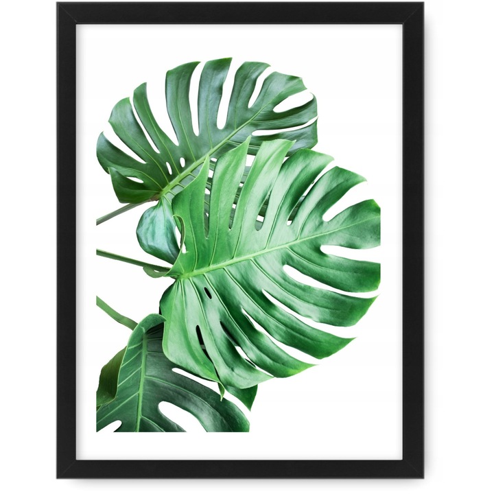 Tablou Monstera A4 24x33 cm, Rama Neagra, Decor Perete