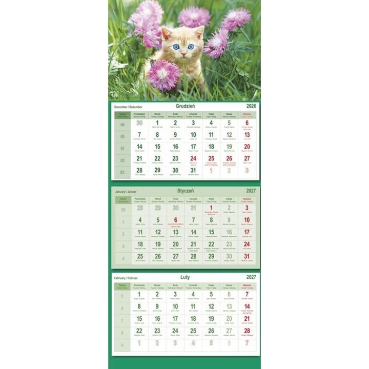 Calendar de perete triptic Michalczyk i Prokop 2027, cu pisici, multicolor, cod 804618