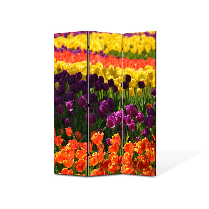 Paravan de Camera ArtDeco din 3 Panouri Peisaj Macro Olanda 105 x 150 cm