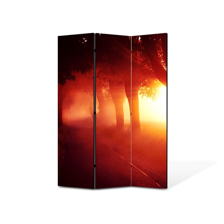 Paravan de Camera ArtDeco din 3 Panouri Peisaj Lumina fantastica 135 x 180 cm