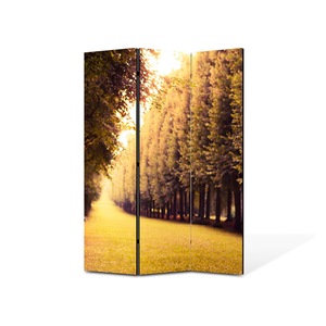 Pereti despartitori si paravane