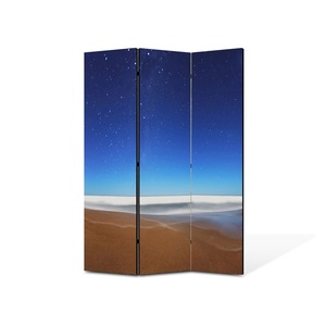 Pereti despartitori si paravane