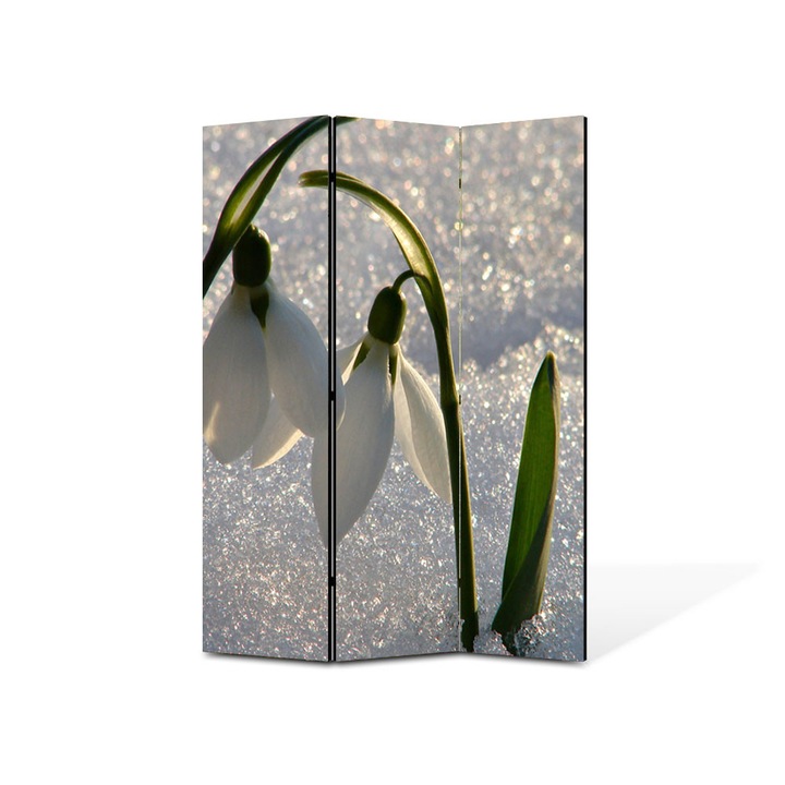 Paravan de Camera ArtDeco din 3 Panouri Peisaj Doi Frati 135 x 180 cm