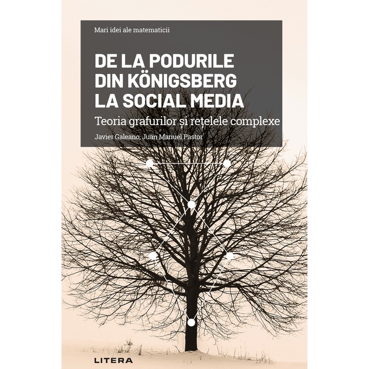 De la Podurile din Königsberg la social media. Teoria grafurilor si retelele complexe (ebook)