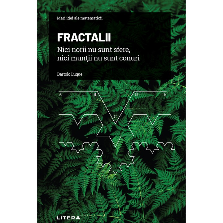 Mari idei ale matematicii. Vol. 11. Fractalii. Nici norii nu sunt sfere, nici muntii nu sunt conuri (ebook)