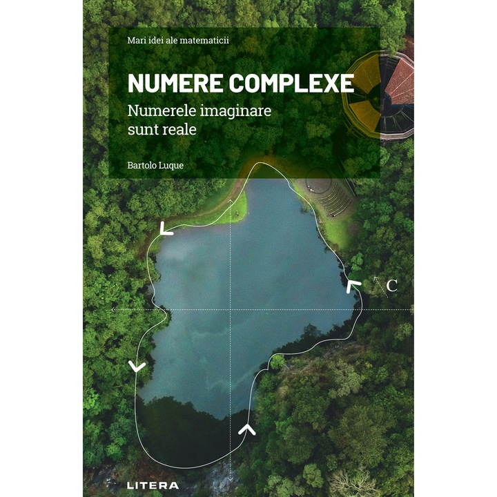 NUMERE COMPLEXE. Numerele imaginare sunt reale (ebook)