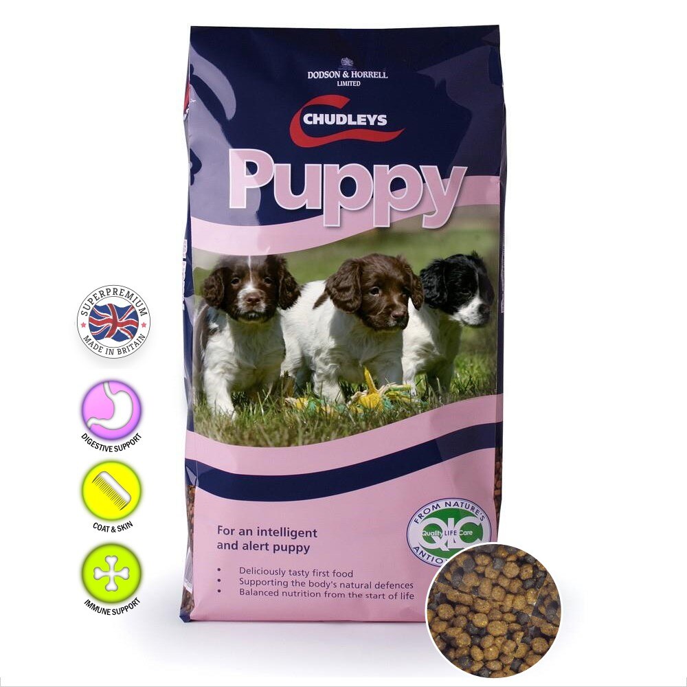 chudleys puppy