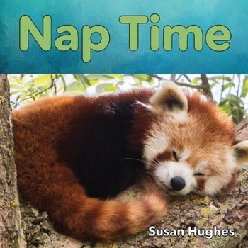Nap Time, Hughes (Author) Nap Time, Hughes (Author)