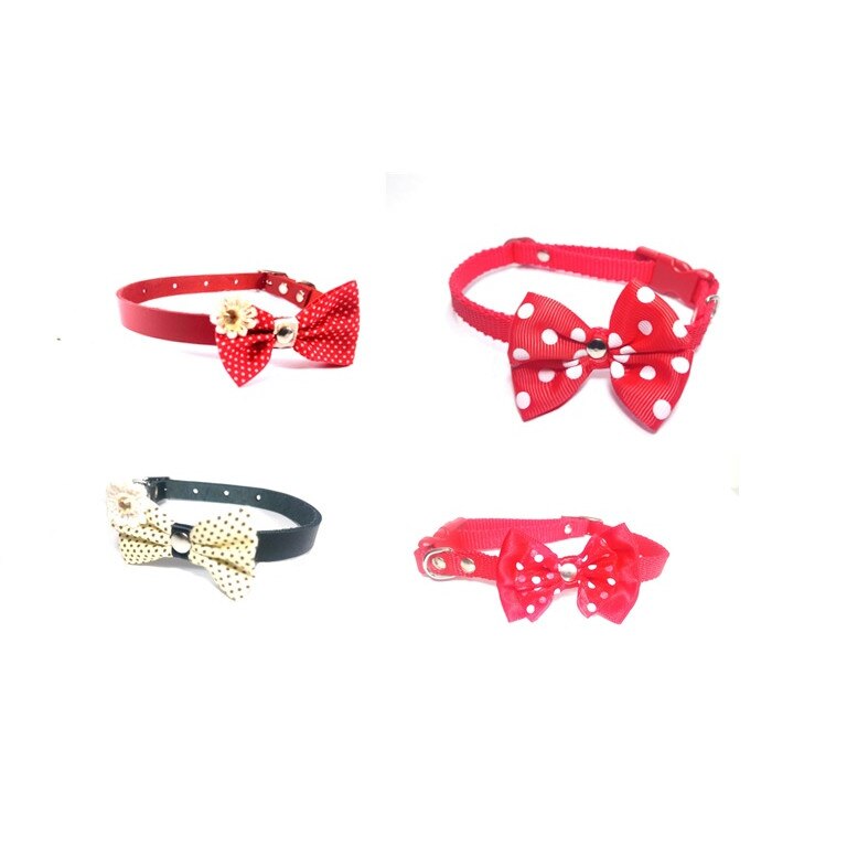 Set 4 zgarzi 3+1 gratuit 10 mm x 31 cm