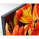 Телевизор Smart LED Sony BRAVIA, 65" (163.9 см), 65XF8596, 4K Ultra HD