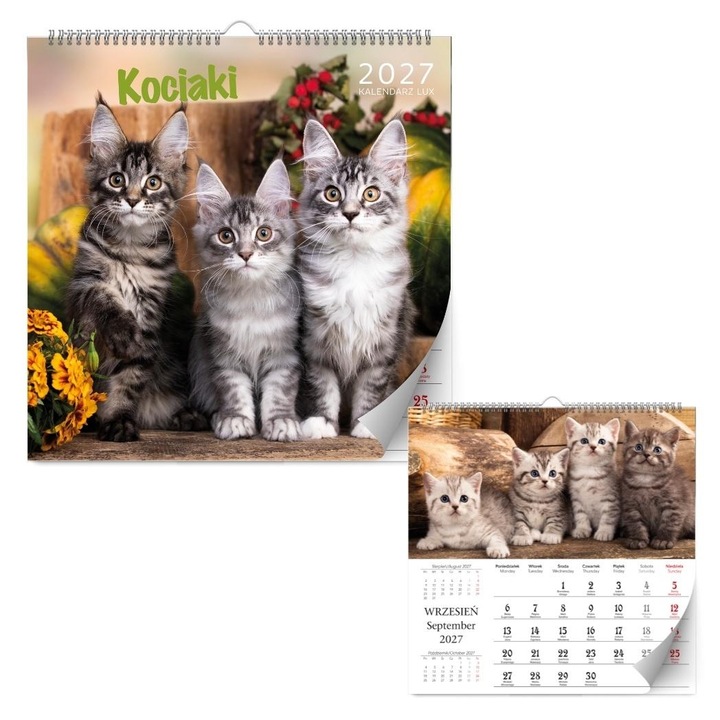 Calendar de perete Kalpol Kociaki 2027, format 330 x 330 mm, multicolor, cod 807367