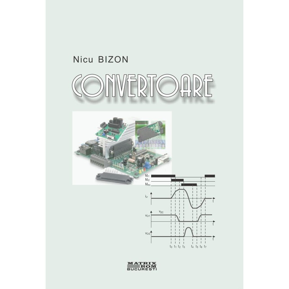 Convertoare, Nicu Bizon