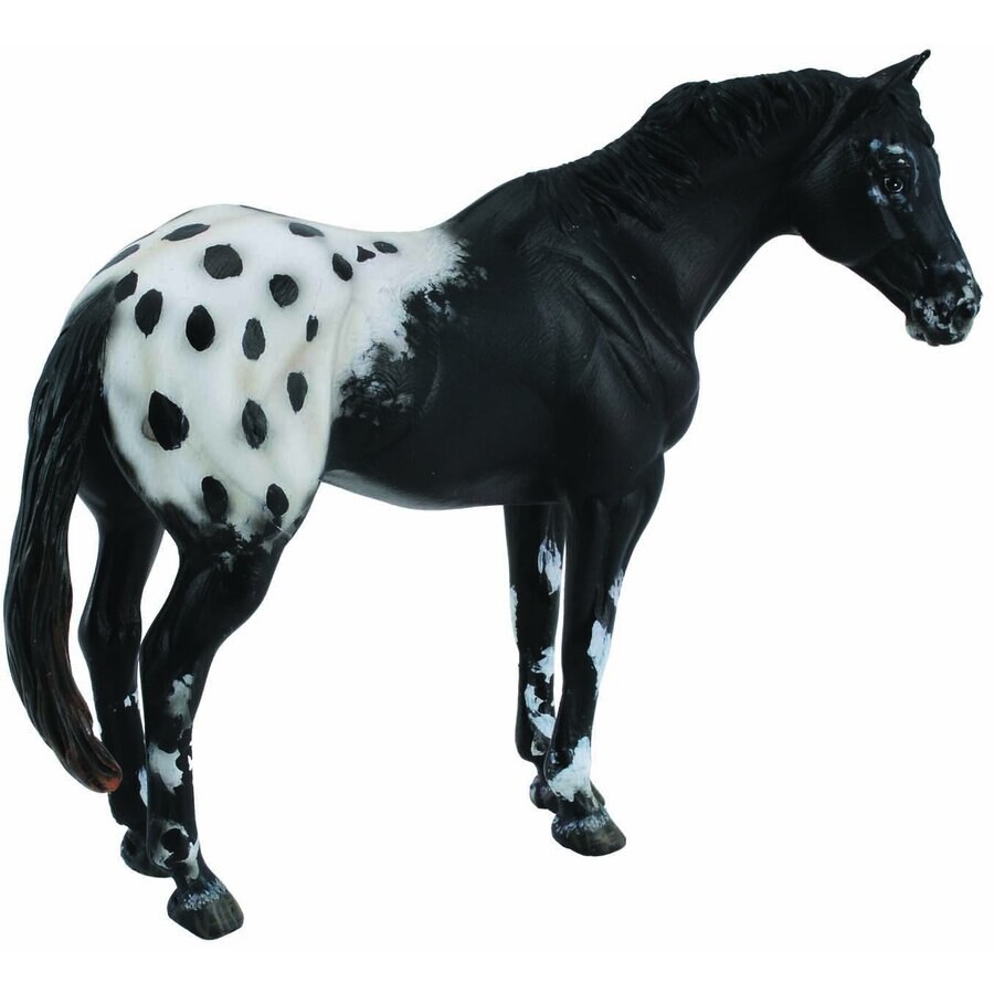 Figurina Armasar Black Appaloosa XL, Collecta Multicolor